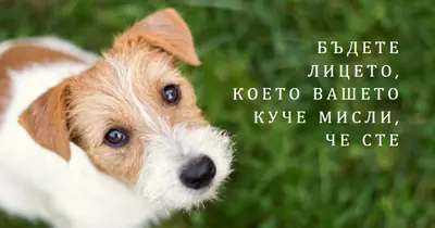 Някой с доминираща позиция green modern-simple