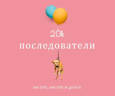 Куче балон pink modern-simple