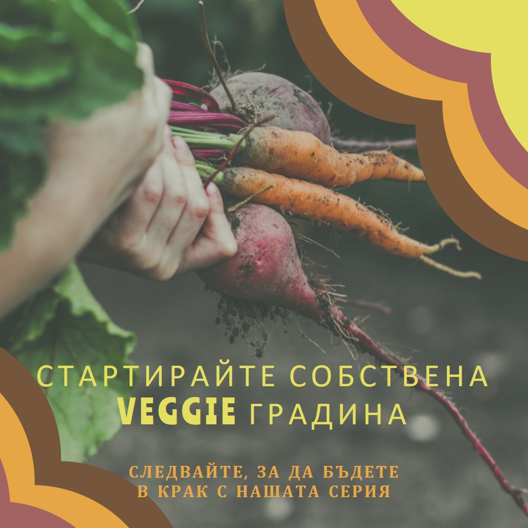 Изкоренен живот orange vintage-retro