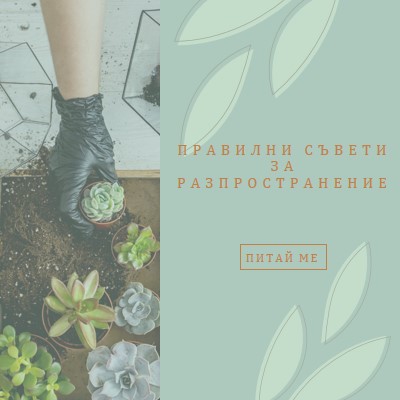 Просто сочни green organic-simple