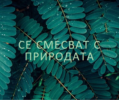 Смесвайте се с природата green modern-simple