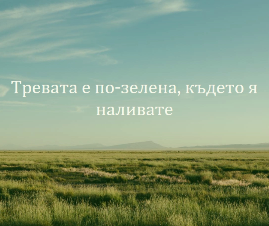 По-добра природа blue modern-simple