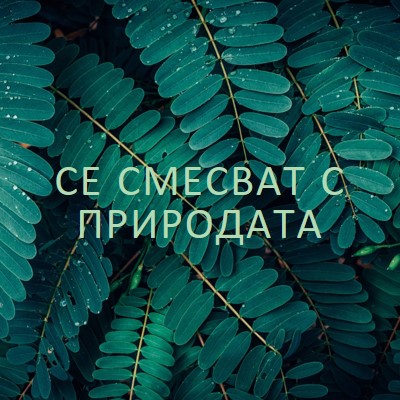 Смесвайте се с природата green modern-simple