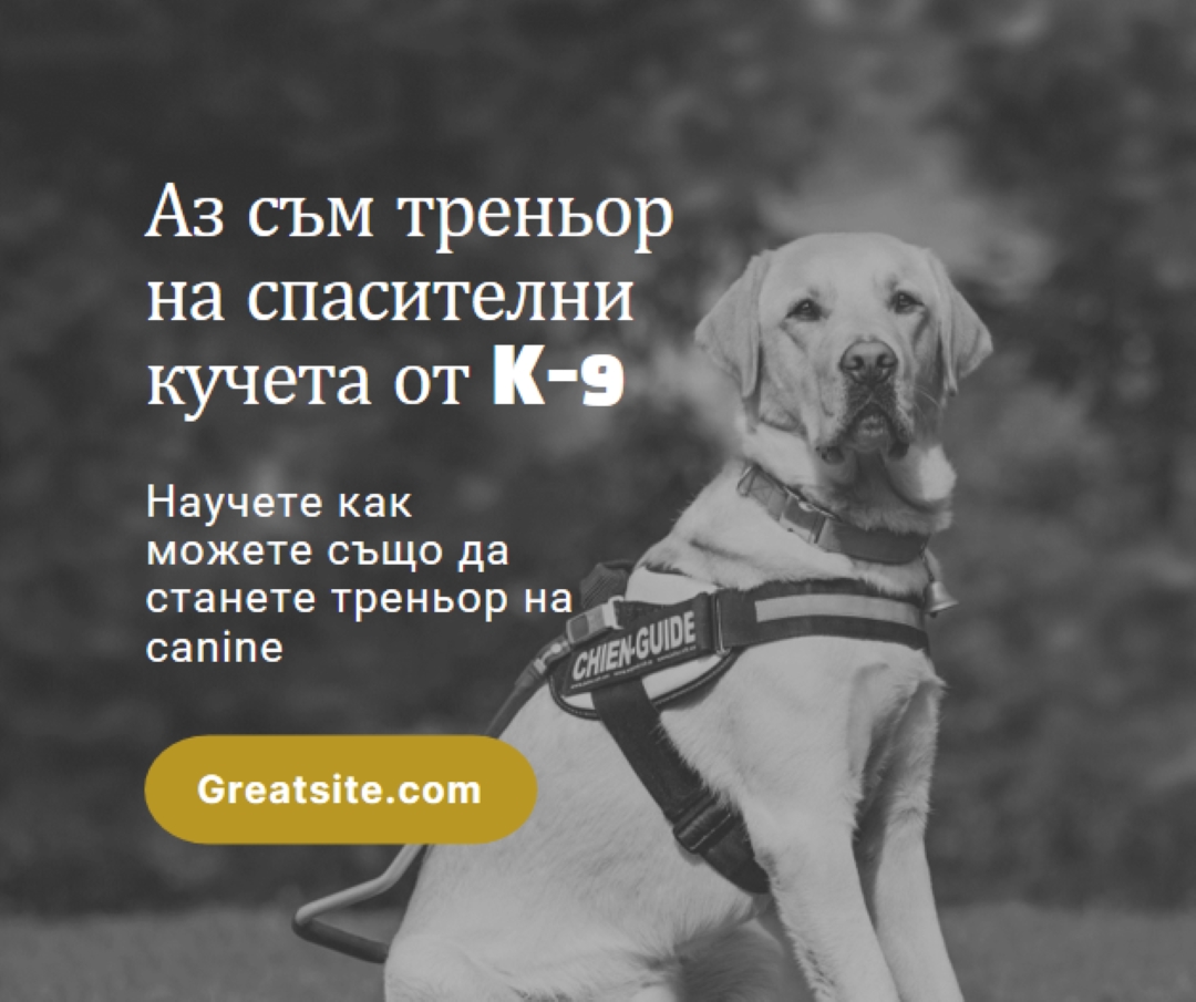 Аз съм треньор на спасителни кучета black modern-simple