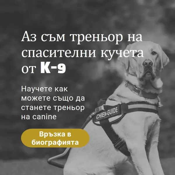 Аз съм треньор на спасителни кучета black modern-simple