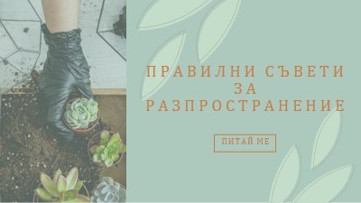 Просто сочни green organic-simple