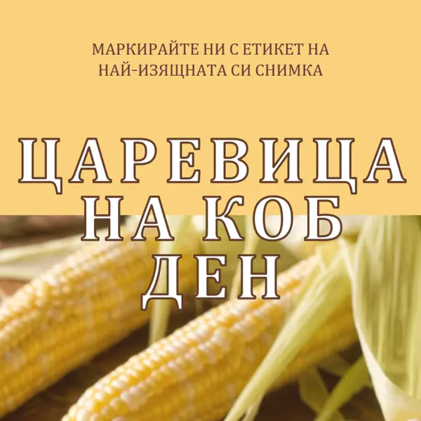 Отборът от коб yellow modern-simple