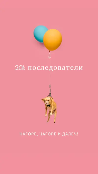 Куче балон pink modern-simple