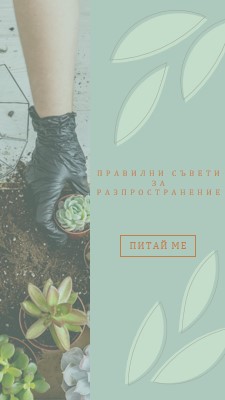 Просто сочни green organic-simple