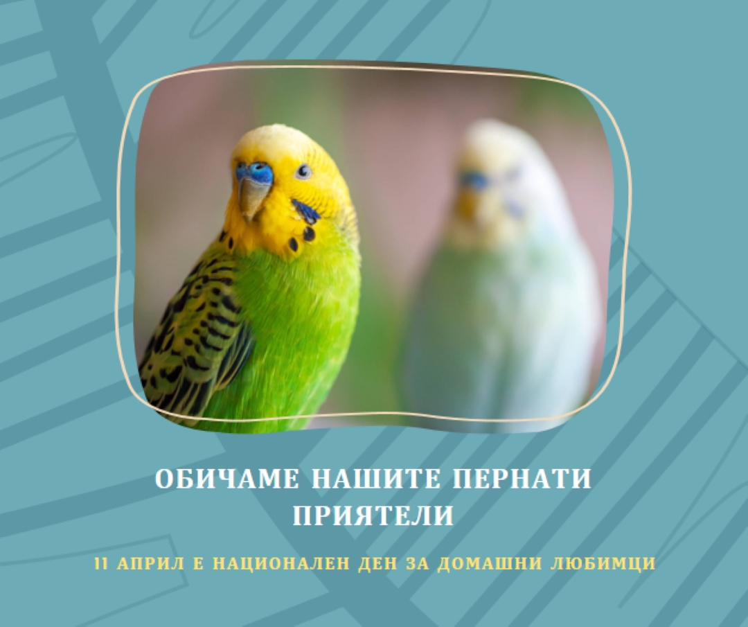 Перо заедно blue organic-simple