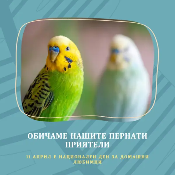 Перо заедно blue organic-simple