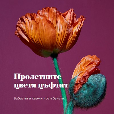 Свежи цветя purple modern-simple