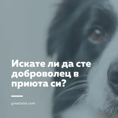 Доброволец и настроение blue modern-simple
