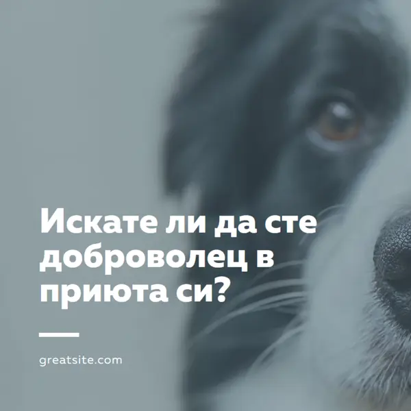 Доброволец и настроение blue modern-simple