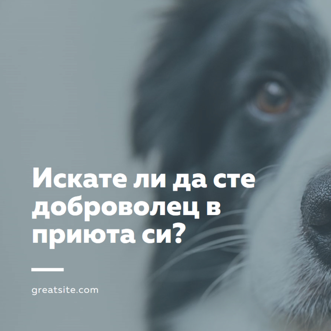 Доброволец и настроение blue modern-simple