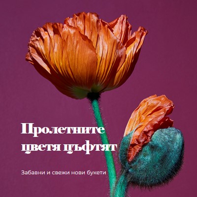 Свежи цветя purple modern-simple