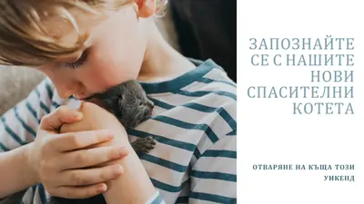 Запознайте се с нашите нови спасителни операции pink modern-simple