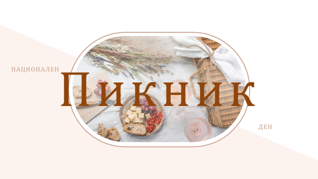 Национален пикник white modern-simple
