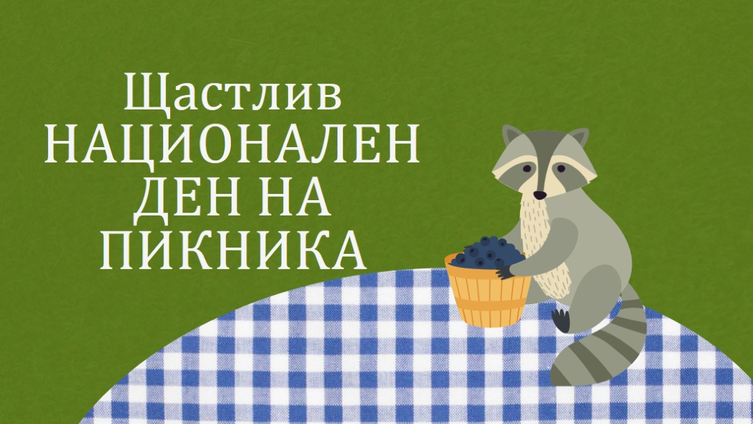 Честит национален пикник green whimsical-color-block