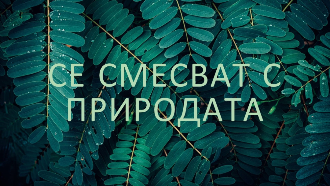 Смесвайте се с природата green modern-simple