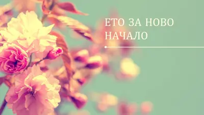 Страхотен цвят green modern-simple
