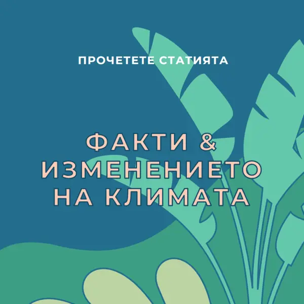 Факти за изменението на климата blue whimsical-color-block