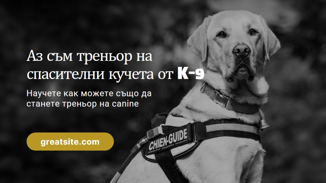 Аз съм треньор на спасителни кучета black modern-simple
