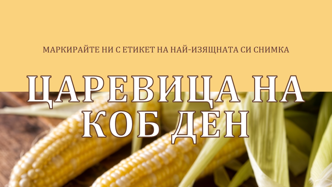 Отборът от коб yellow modern-simple