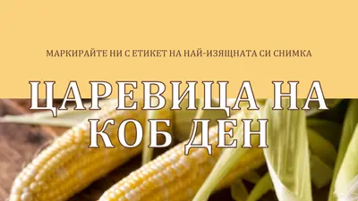 Отборът от коб yellow modern-simple