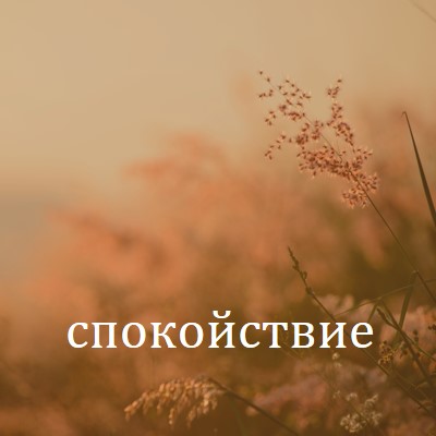 Полета на спокойствието brown modern,minimal,nature,quiet,soft,plants