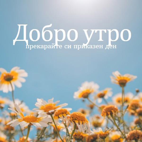 Прекарайте си приказен ден blue modern,simple,photography,flowers,birght,fresh