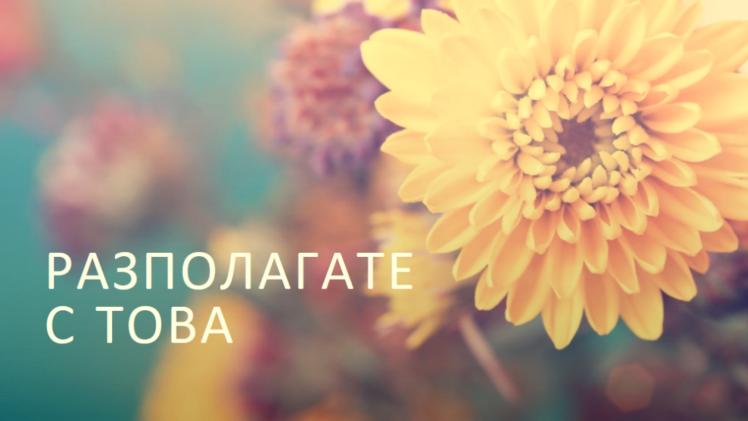 Просперяващи листенца yellow modern-simple