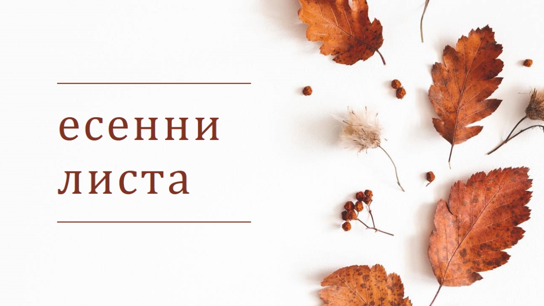 Листата са паднали white modern-simple