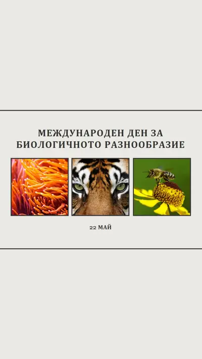 Съживяване на природата gray modern-simple
