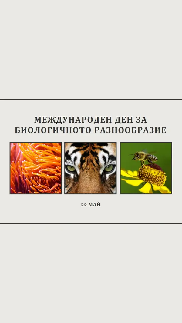 Съживяване на природата gray modern-simple