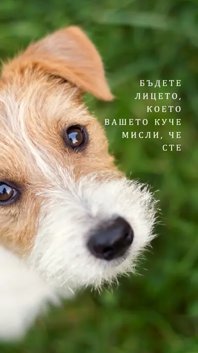 Някой с доминираща позиция green modern-simple