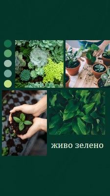 Жив зелен палец green photographic,simple,collage,palette,handwriting,graphic