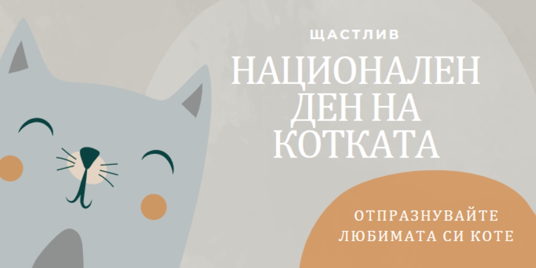 Честит национален ден на котката gray organic-simple