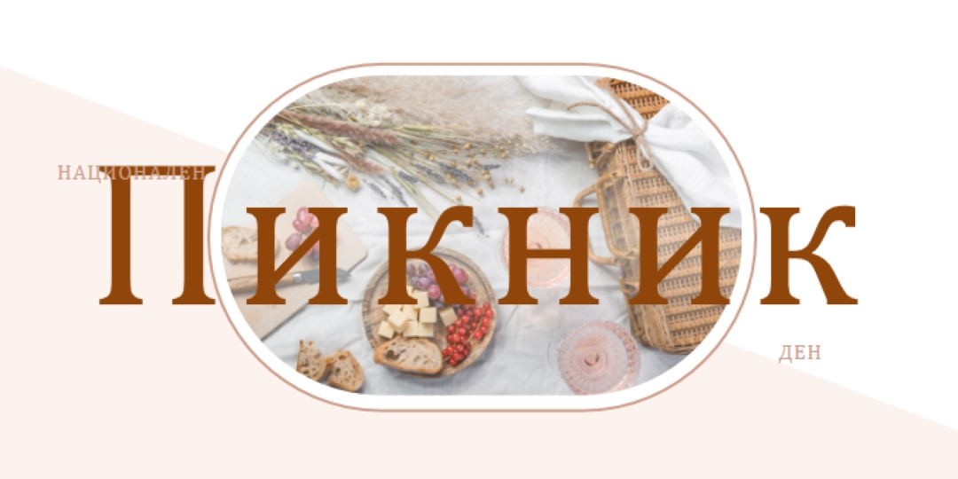 Национален пикник white modern-simple
