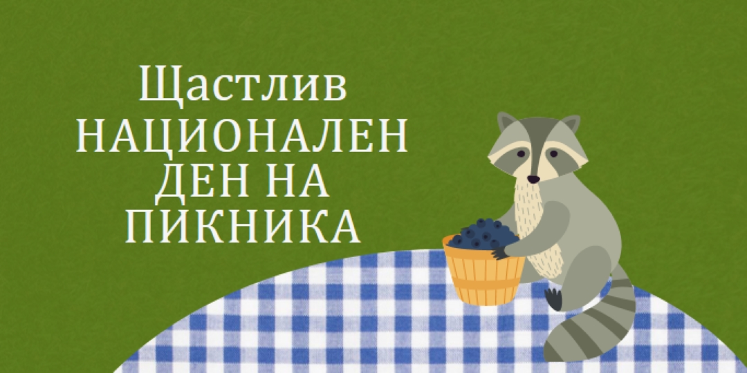 Честит национален пикник green whimsical-color-block