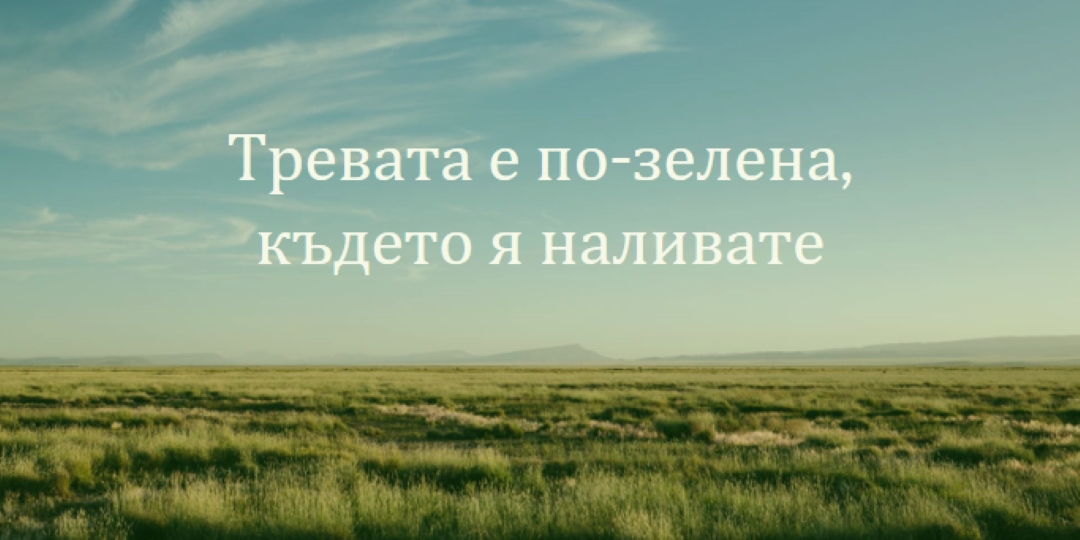 По-добра природа blue modern-simple