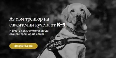 Аз съм треньор на спасителни кучета black modern-simple