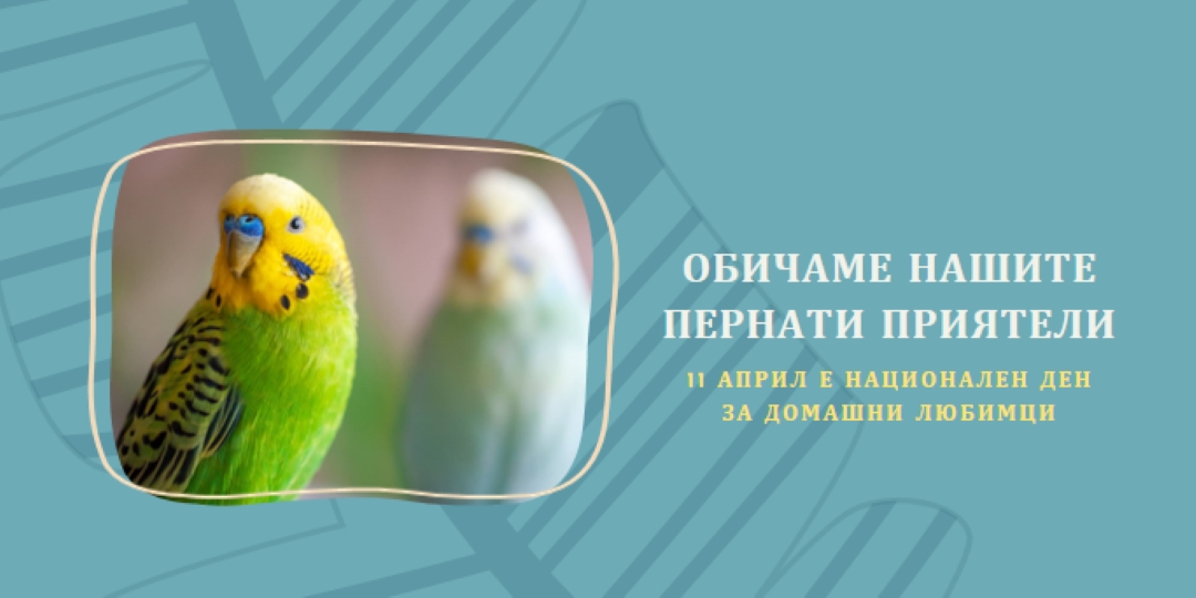 Перо заедно blue organic-simple