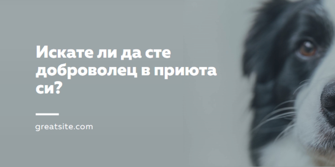 Доброволец и настроение blue modern-simple