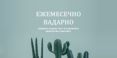 Месечен тест за награди green modern-simple