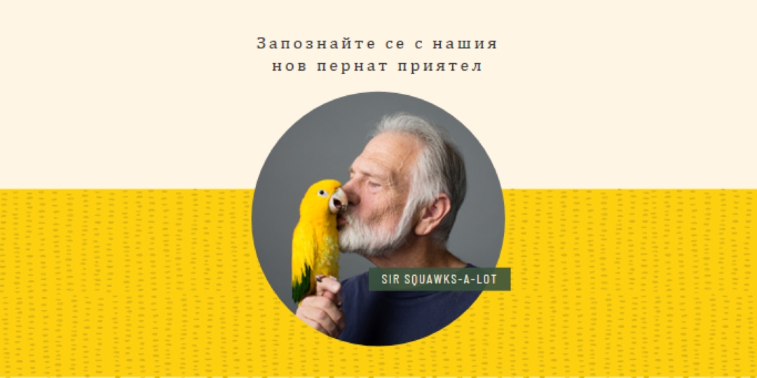 Птица в ръка yellow organic-simple