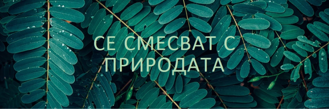 Смесвайте се с природата green modern-simple