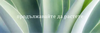 Електроцентрала green modern-simple