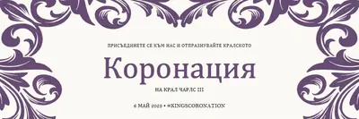 Да живее кралят white modern-simple