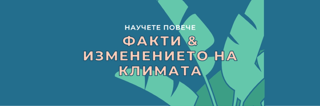 Факти за изменението на климата blue whimsical-color-block